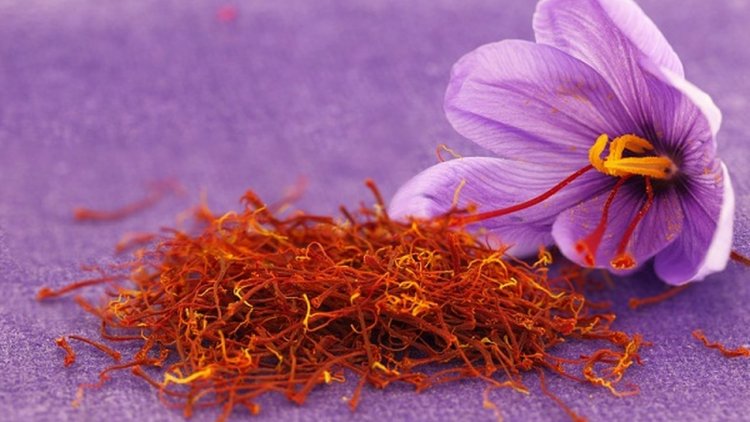 Health Benefits Of Saffron In Our Daily Life Ayurveda